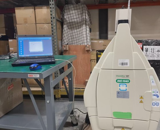 Biorad ChemDoc MP Imaging System