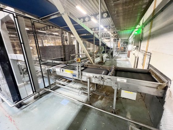 2001 ディオスナ、ヴェルナー & プフライデラー、キャプウェイ、ウィンクラー デン