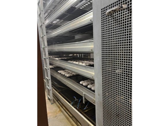 2001 ディオスナ、ヴェルナー & プフライデラー、キャプウェイ、ウィンクラー デン