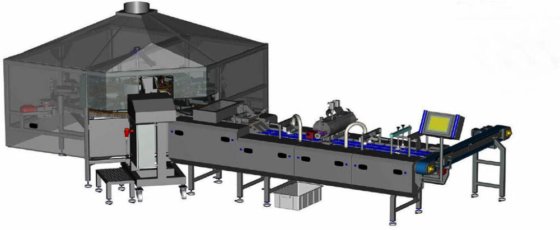 2013年范德堡焦糖华夫饼生产线