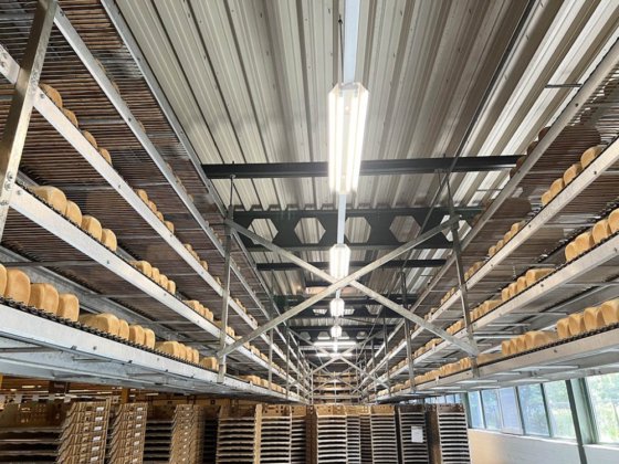 2001 ベニエ、トロンプ、ウィンクラー デン ボーア、ハルトマン トースト