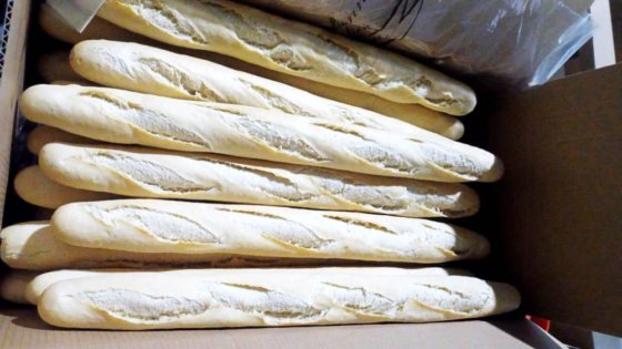 2012年メカテルム・バゲットライン