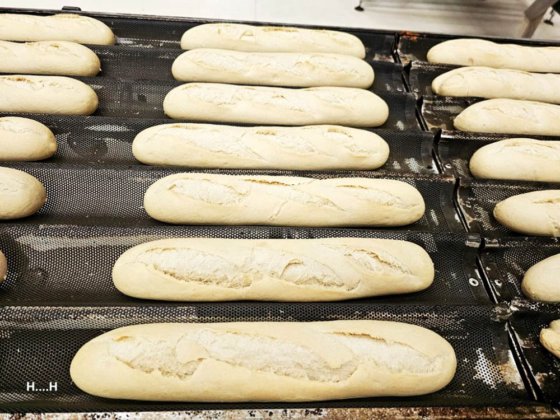 2012年メカテルム・バゲットライン