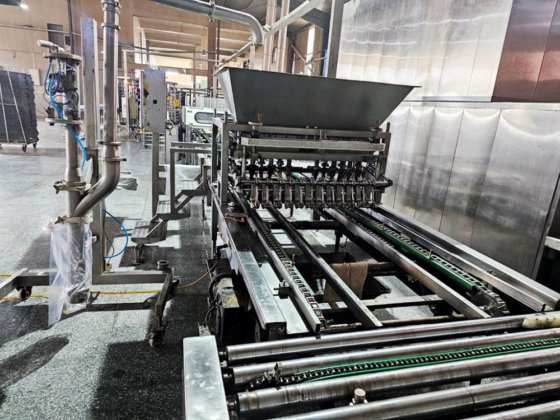 海因茨博克、萨尔马西克、托内利纸杯蛋糕生产线