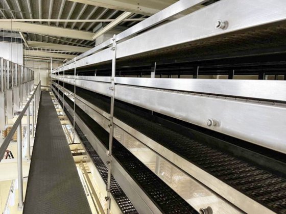 1991 ディオスナ、ヴェルナー & プフライデラー、ベニエ、コルトレバー、カーク 産業用パン生産ライン