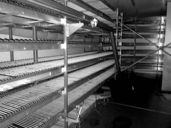 2004年 キャップウェイ オーバルスパイラルクーラー