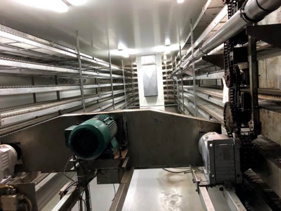 2004年 キャップウェイ オーバルスパイラルクーラー