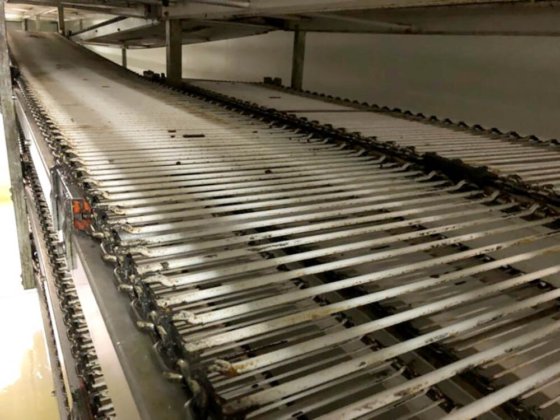 2004年 キャップウェイ オーバルスパイラルクーラー