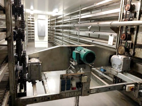 2004年 キャップウェイ オーバルスパイラルクーラー