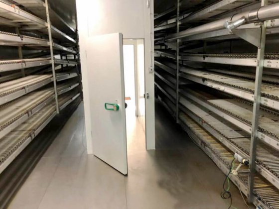 2004年 キャップウェイ オーバルスパイラルクーラー