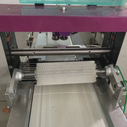 全自動新鮮キウイ果ピローパッケージング機