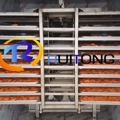Ruitong RTFD-LG20
