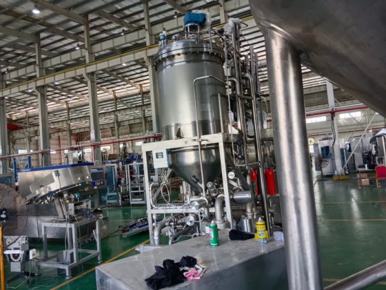 2010 GEA果粒杀菌机