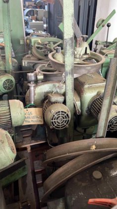 Primultini 卷笔刀