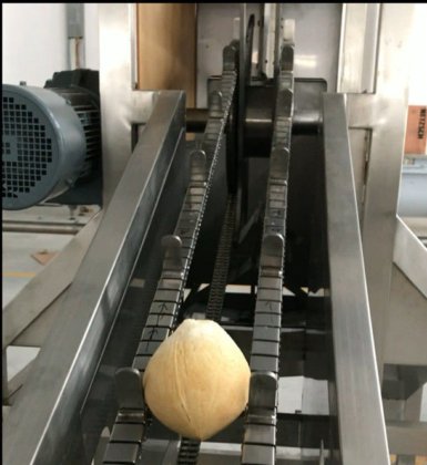 ココナッツ水切断機 ココナッツ水抽出の効率向上