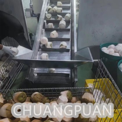 効率的なココナッツ水とミルク加工機 ボトル詰めシステム 1年