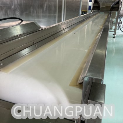 ココナッツ加工機械のカスタマイズされたパッケージングシステムでのココナッツ水抽出