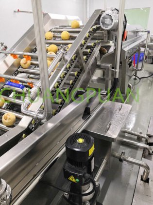 2-9T/H 詰め込み速度 ココナッツ加工機