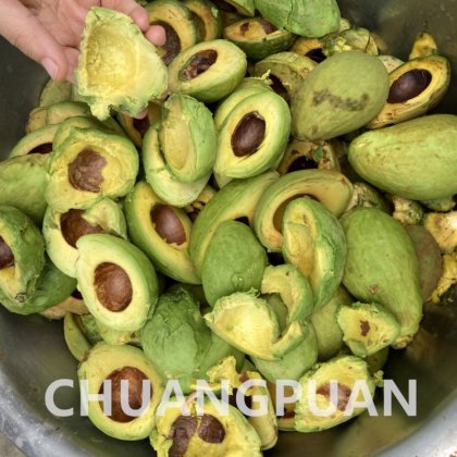 オーダーメイドアボカドオイルジャム抽出と製造機械 304ステンレス鋼