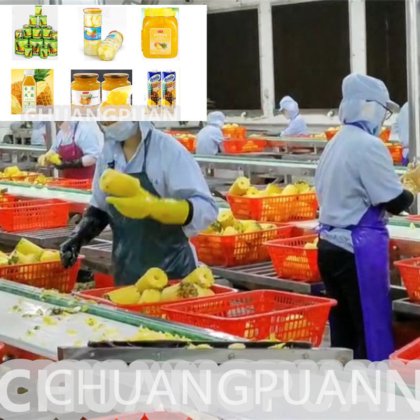 5th 自動操作の缶詰のクックアナナース食品加工ライン