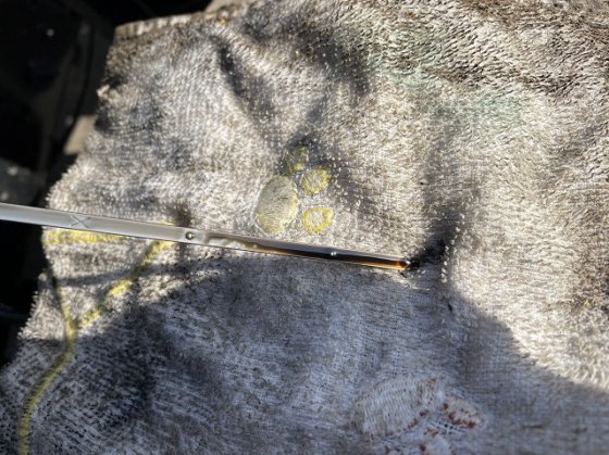 2011 タダノ BT-110-1