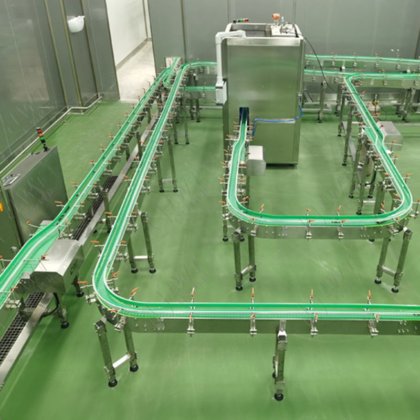 Customized Chain Conveyors Systems Belt