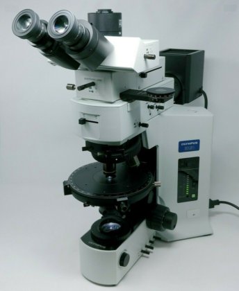 Olympus Microscope Bx51 Pol Polarizing With Bertrand Lens And Bf Df In Sanford Nc Usa