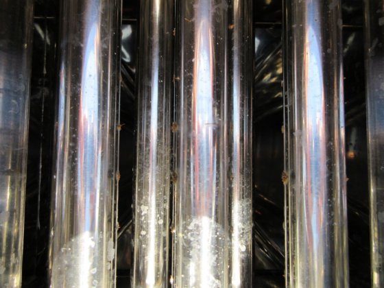 2017 日本エリーズ 2段式7本