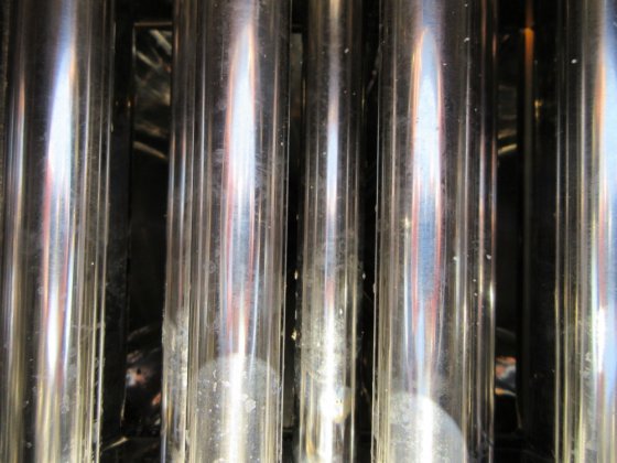 2017 日本エリーズ 2段式7本