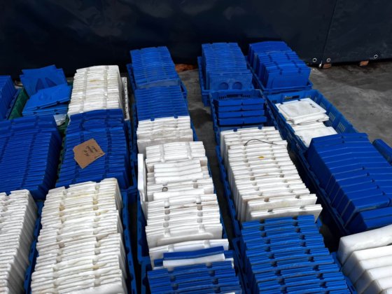 2003 Marel TSM2-C165 分析仪