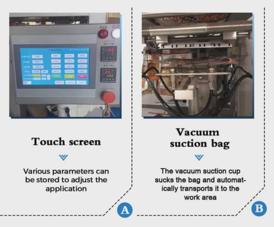 Dession 花生果预制袋真空包装机 中国制造商