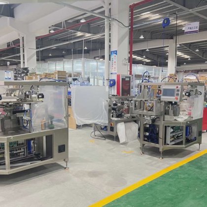 Dession 花生果预制袋真空包装机 中国制造商