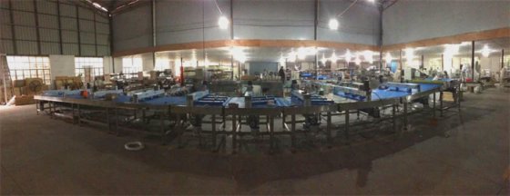 Dession 华夫饼干自动包装机生产线