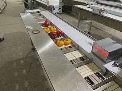 Dessionチキンレッグ肉包装機 中国の工場