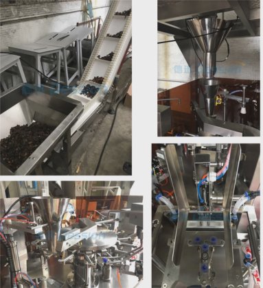 Dession 全自动自立袋（doypack）包装机，带多个称重头 , doypack 袋灌装机