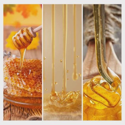 Dession 健康安全的蜂蜜熔融过滤和浓缩设备 蜂蜜加工设备 中国制造商