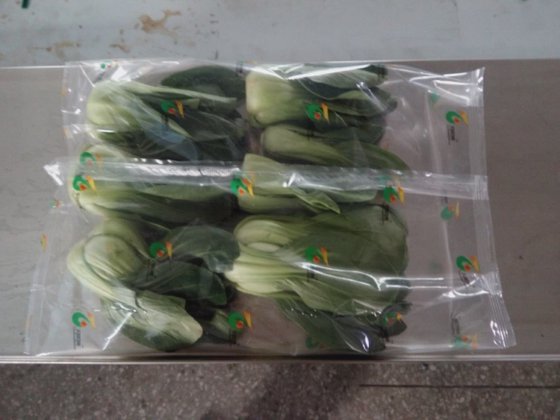 Dession 自动尿布袋包装机 , 蔬菜包装机