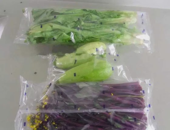 Dession 鲜叶蔬菜包装机