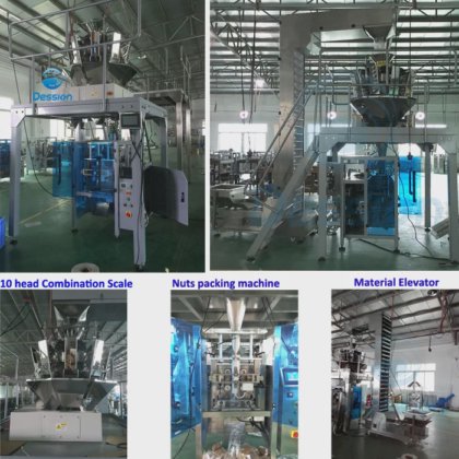Dession 多头计量坚果袋包装机
