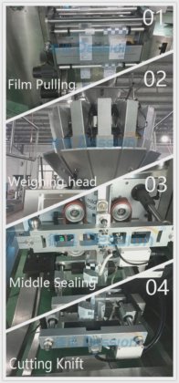 带 10 头称重的 1.5 公斤至