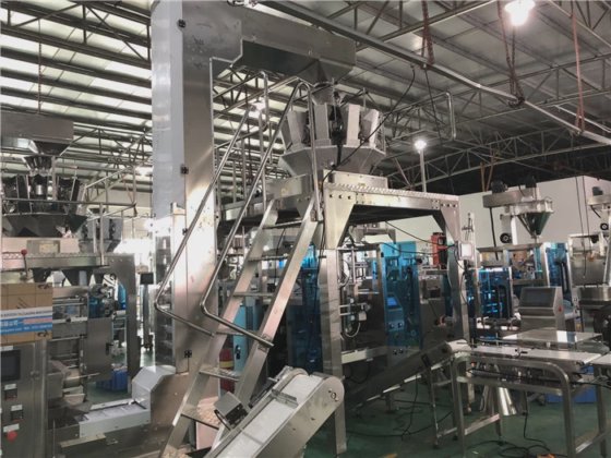 Dession 氮气充填自动意大利面包装机