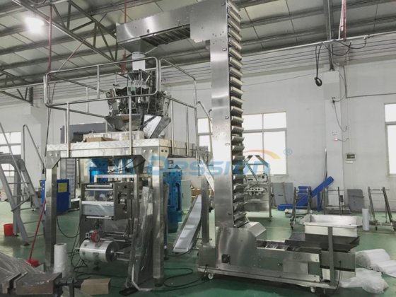 带 10 个电子称重头的 Dession 全自动