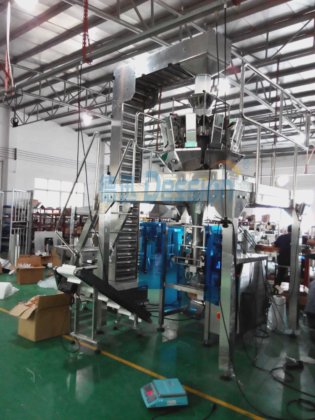 带 10 个电子称重头的 Dession 全自动