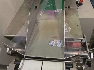 Dession 多功能枕式流水线水果蔬菜包装机