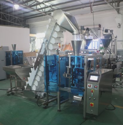 Dession 500g 1kg は冷凍された魚のポリ袋のパッキング機械を塩を付けました