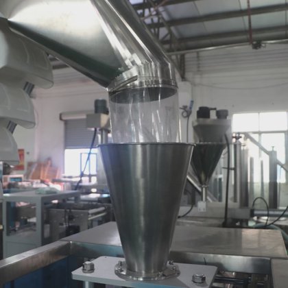 Dession 500g 1kg は冷凍された魚のポリ袋のパッキング機械を塩を付けました