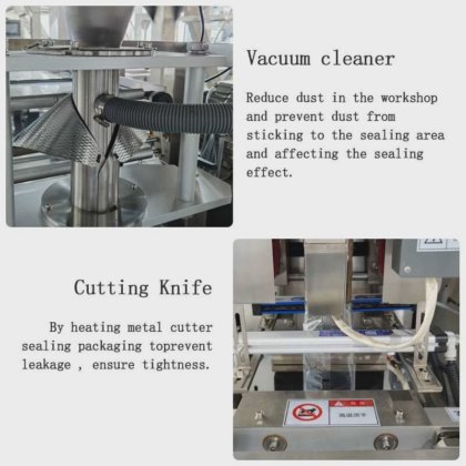 Dession Multifunctional 10-head weighing particle