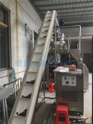 Dession 500 克自制枕头袋包装充填封口机（带多头称重装置