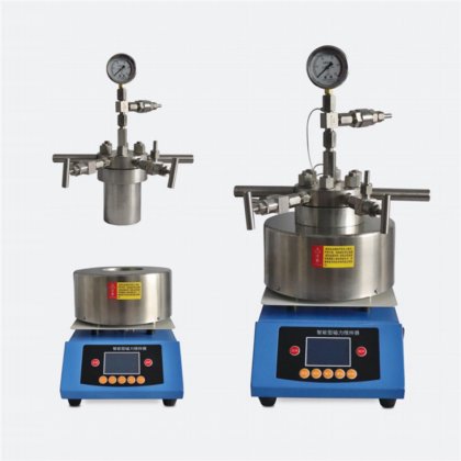 ミニ高圧反応器