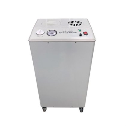 Pompe à vide verticale à